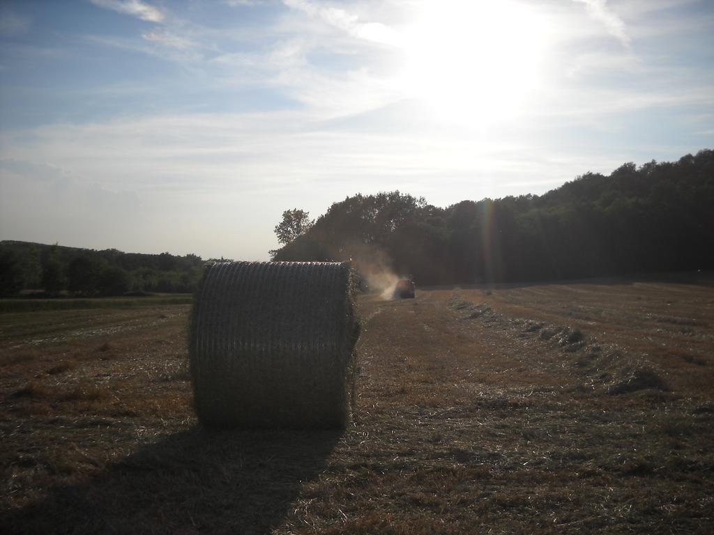 Agriturismo Cascina Monchiero Bra Bagian luar foto